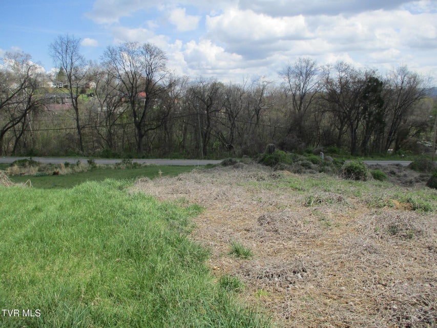 Photo #19: 650 Teasel Drive