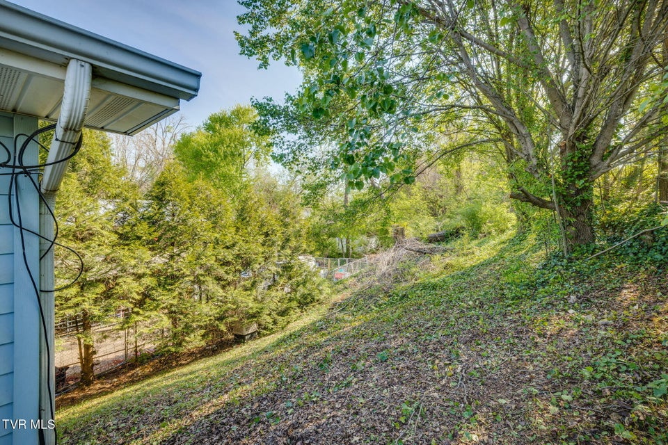 Photo #24: 600 Roan Street