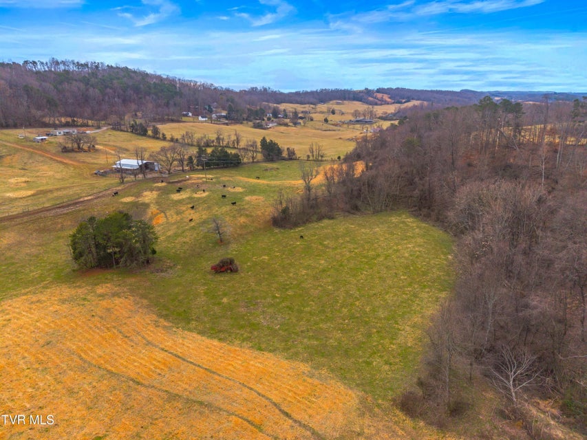 Photo #46: 612 Grassy Valley Road