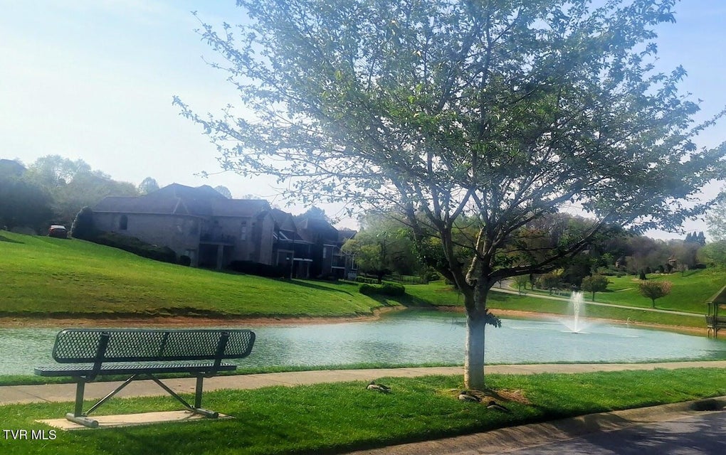 Photo #71: 295 Sanctuary Court