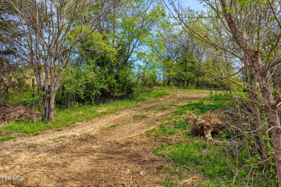 Photo #4: Tbd Webster Valley Road