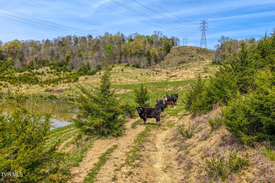 Photo #42: Tbd Webster Valley Road