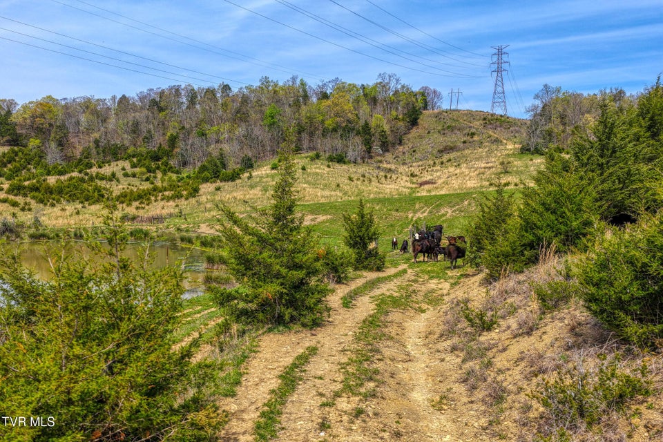 Photo #51: Tbd Webster Valley Road