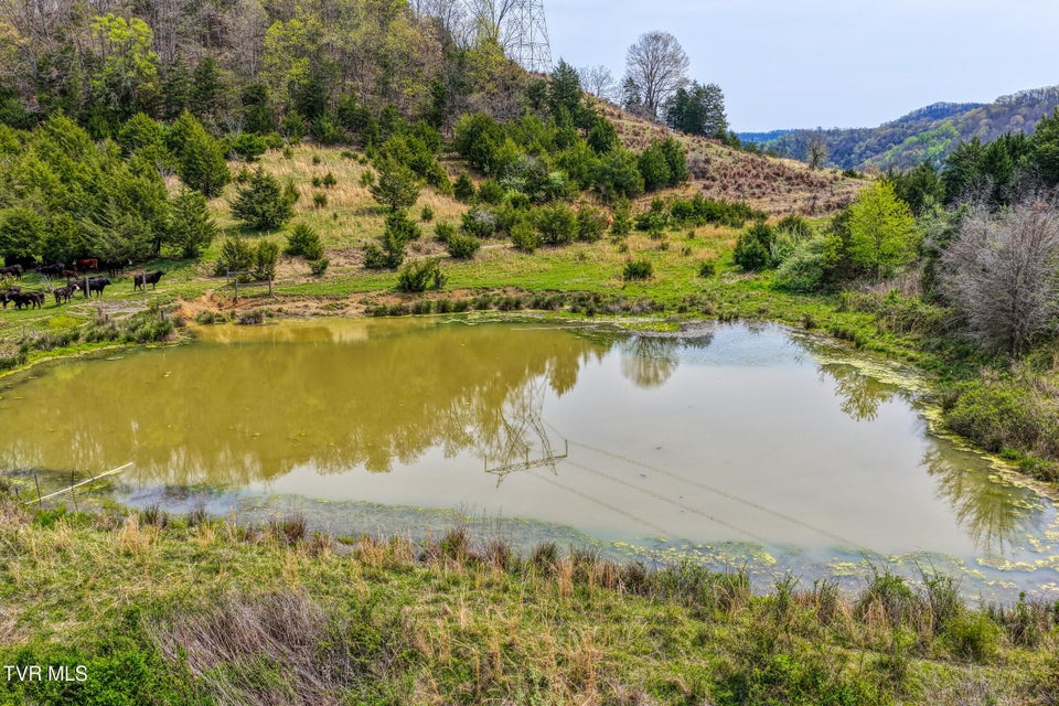 Photo #55: Tbd Webster Valley Road
