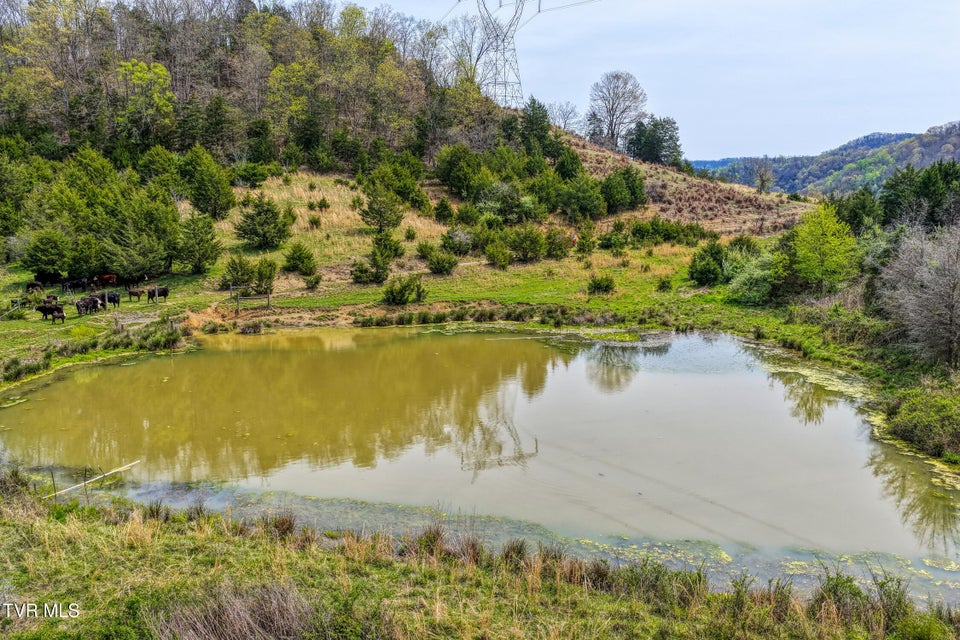 Photo #60: Tbd Webster Valley Road
