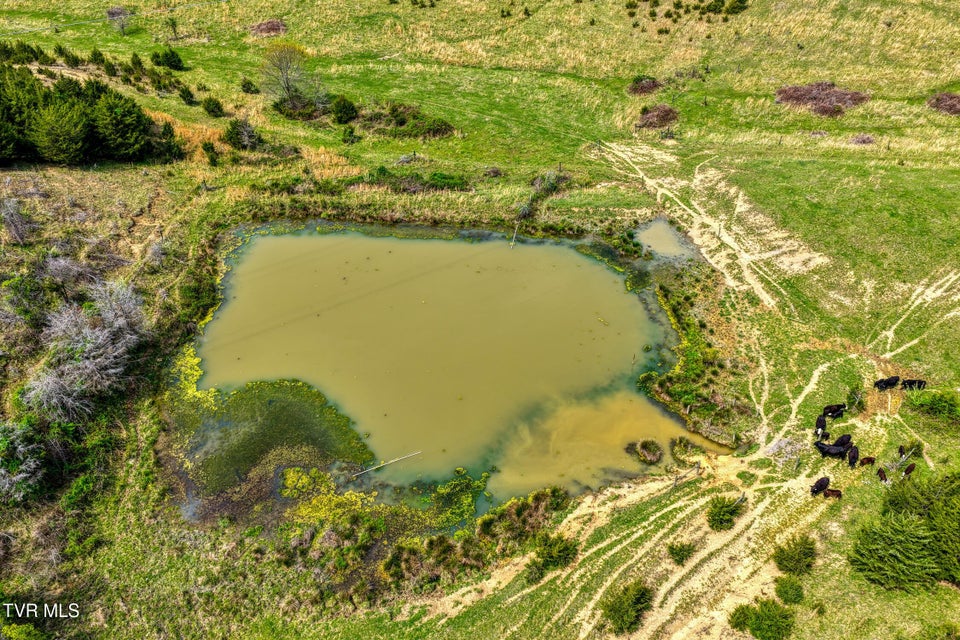 Photo #61: Tbd Webster Valley Road
