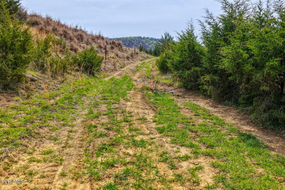 Photo #75: Tbd Webster Valley Road