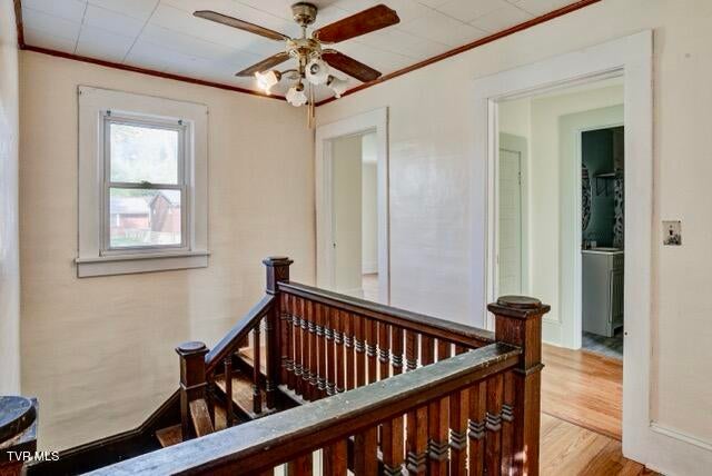 Photo #29: 1427 Highway 93 