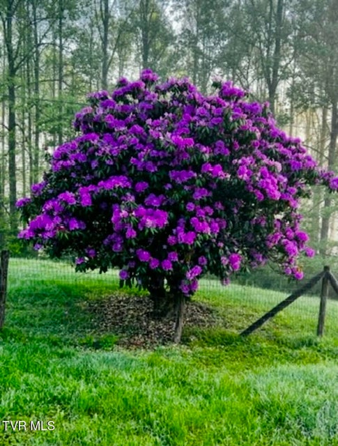 Photo #37: 5422 Penwood Drive