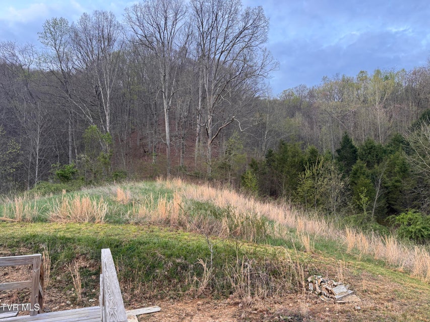 Photo #39: 3788 Newmans Ridge Road