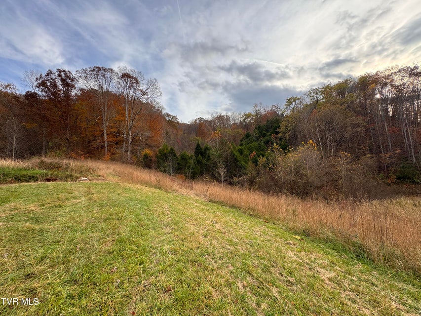 Photo #49: 3788 Newmans Ridge Road