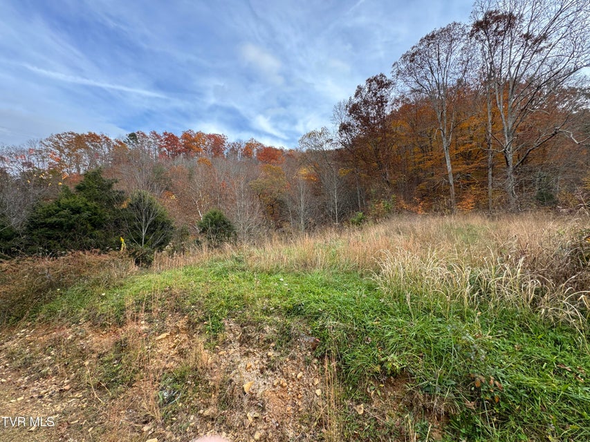 Photo #59: 3788 Newmans Ridge Road