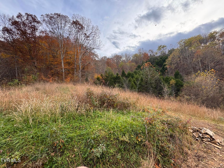 Photo #60: 3788 Newmans Ridge Road