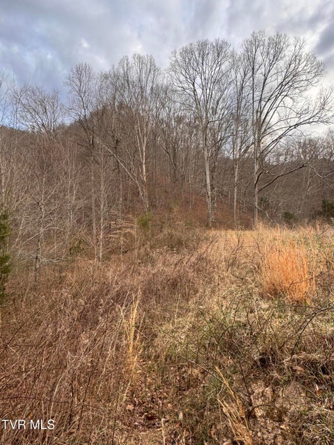 Photo #69: 3788 Newmans Ridge Road