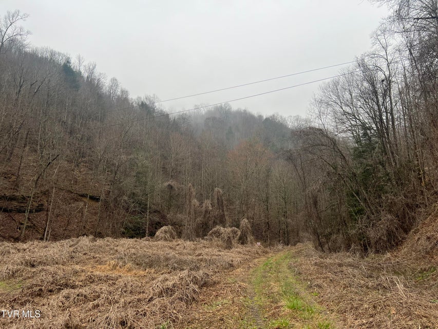 Photo #4: Tbd Bull Run Road