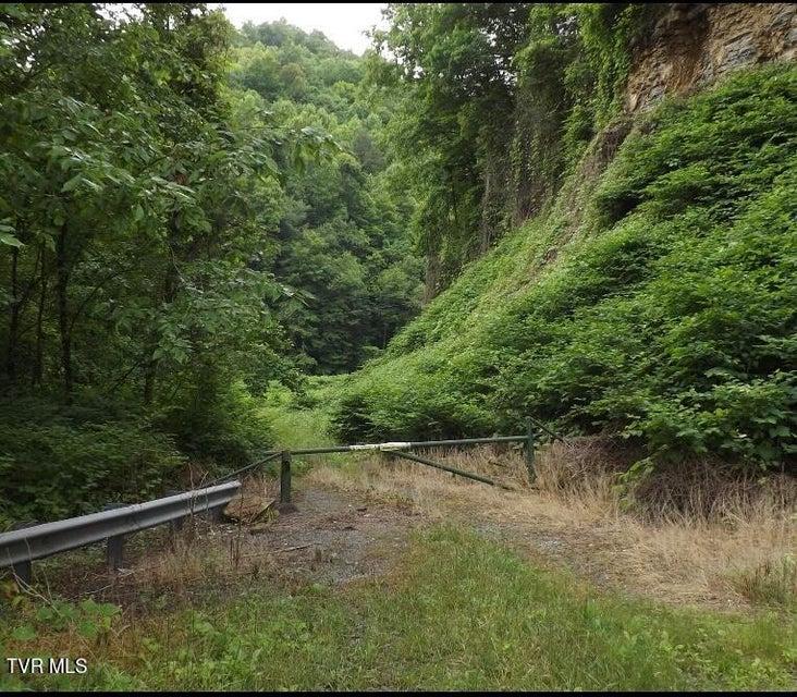 Photo #5: Tbd Bull Run Road