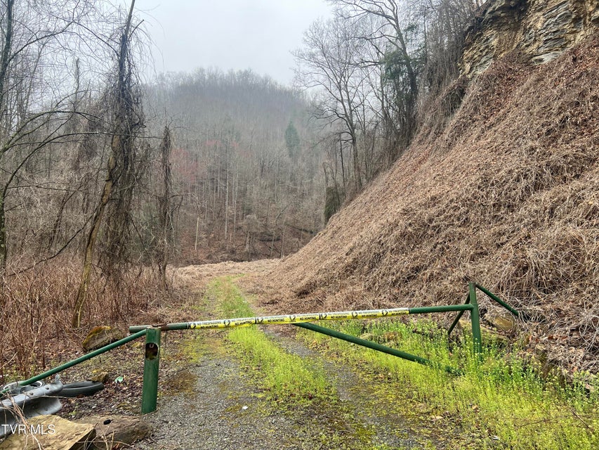 Photo #6: Tbd Bull Run Road