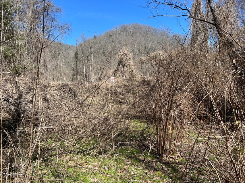 Photo #9: Tbd Bull Run Road