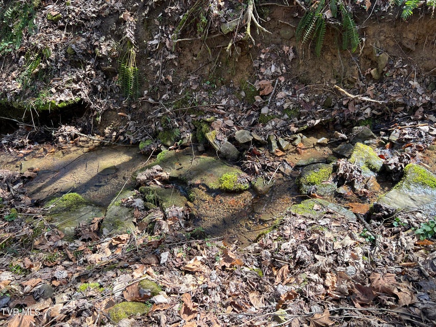 Photo #10: Tbd Bull Run Road