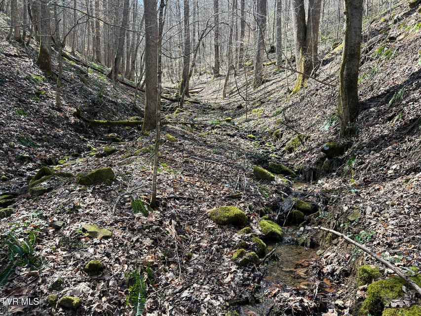 Photo #12: Tbd Bull Run Road