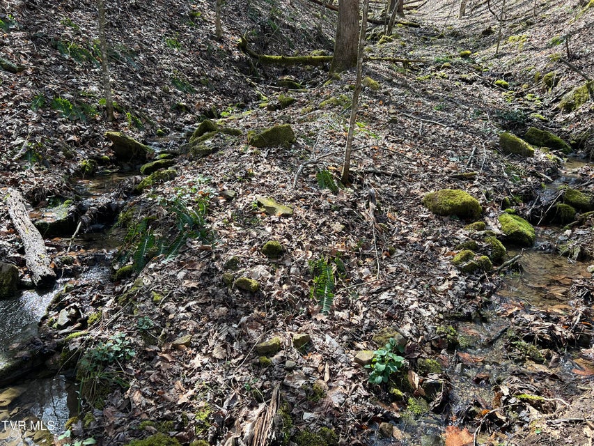 Photo #13: Tbd Bull Run Road