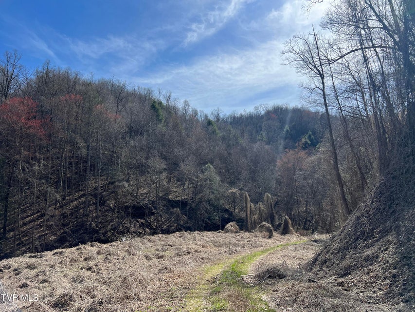 Photo #14: Tbd Bull Run Road