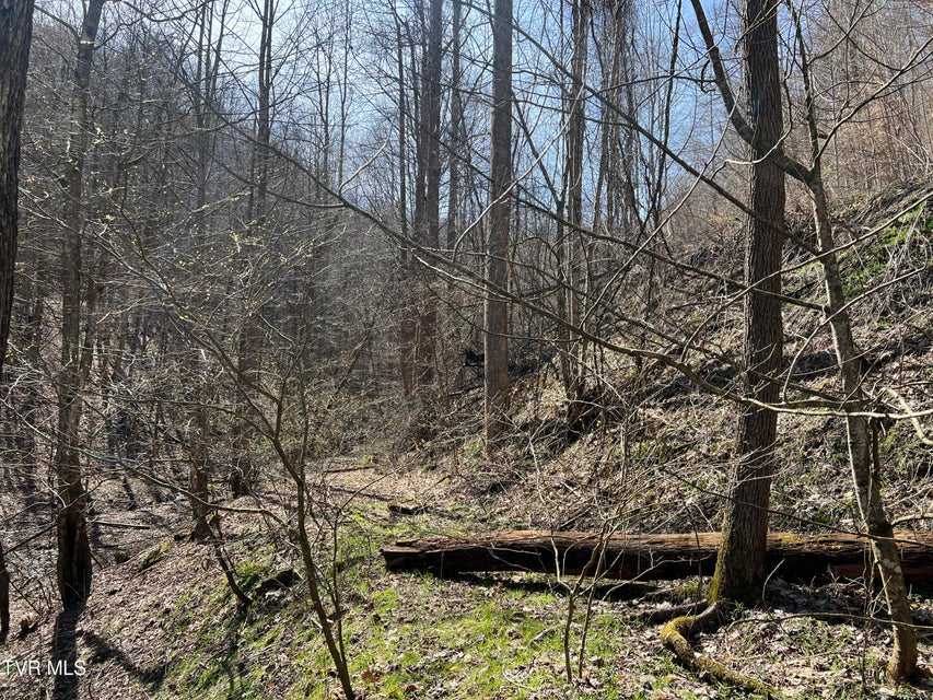 Photo #15: Tbd Bull Run Road