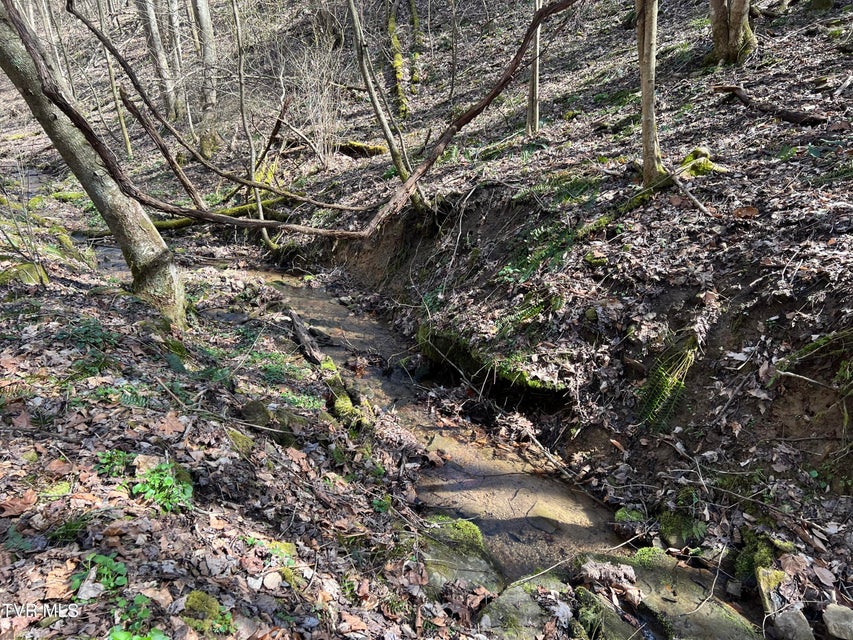 Photo #16: Tbd Bull Run Road