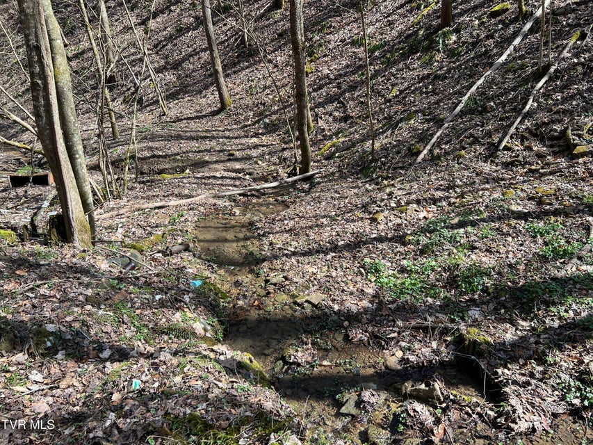 Photo #17: Tbd Bull Run Road