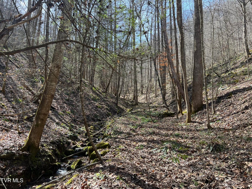 Photo #18: Tbd Bull Run Road