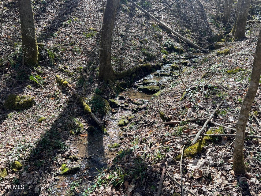 Photo #19: Tbd Bull Run Road