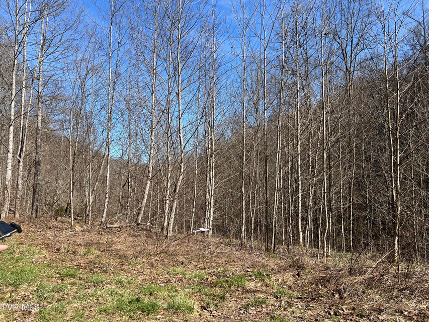 Photo #20: Tbd Bull Run Road