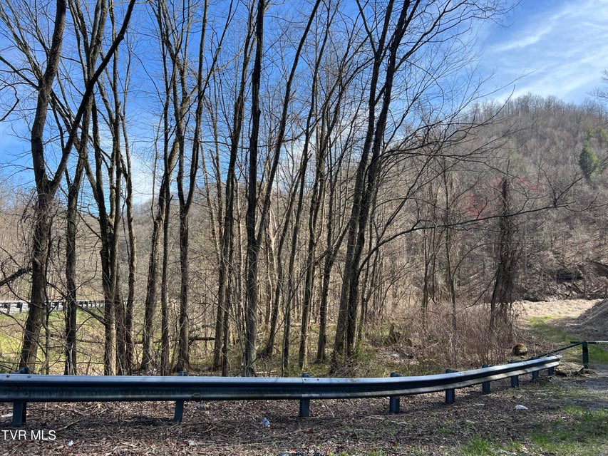 Photo #22: Tbd Bull Run Road