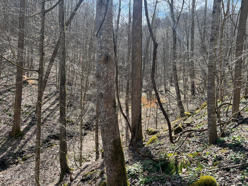 Photo #27: Tbd Bull Run Road