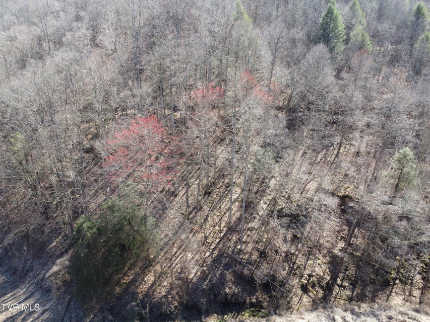 Photo #28: Tbd Bull Run Road