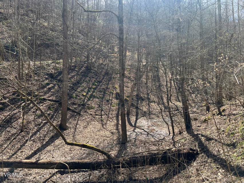 Photo #29: Tbd Bull Run Road