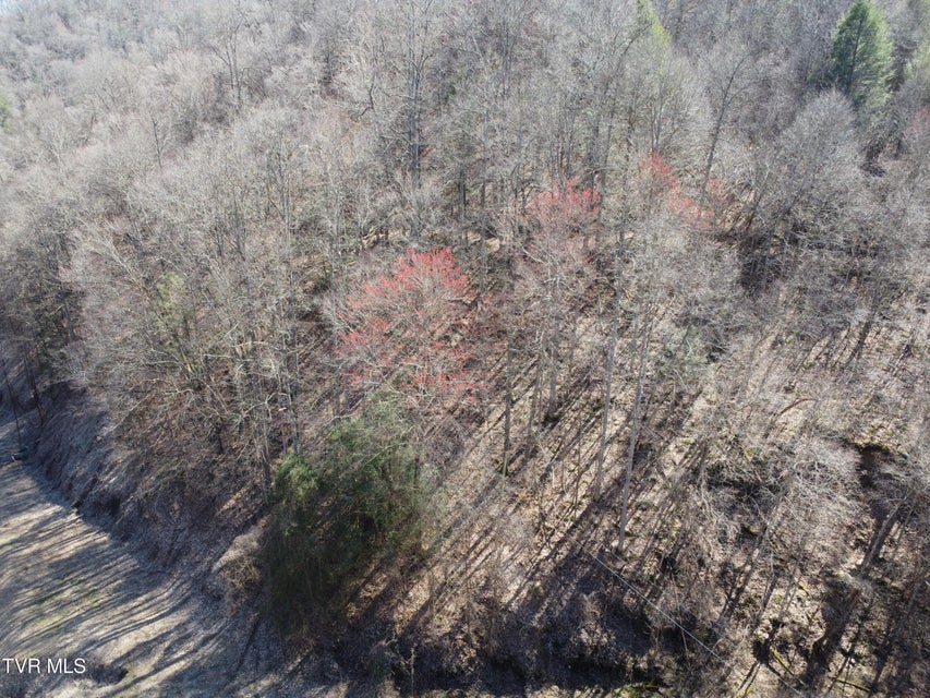 Photo #30: Tbd Bull Run Road