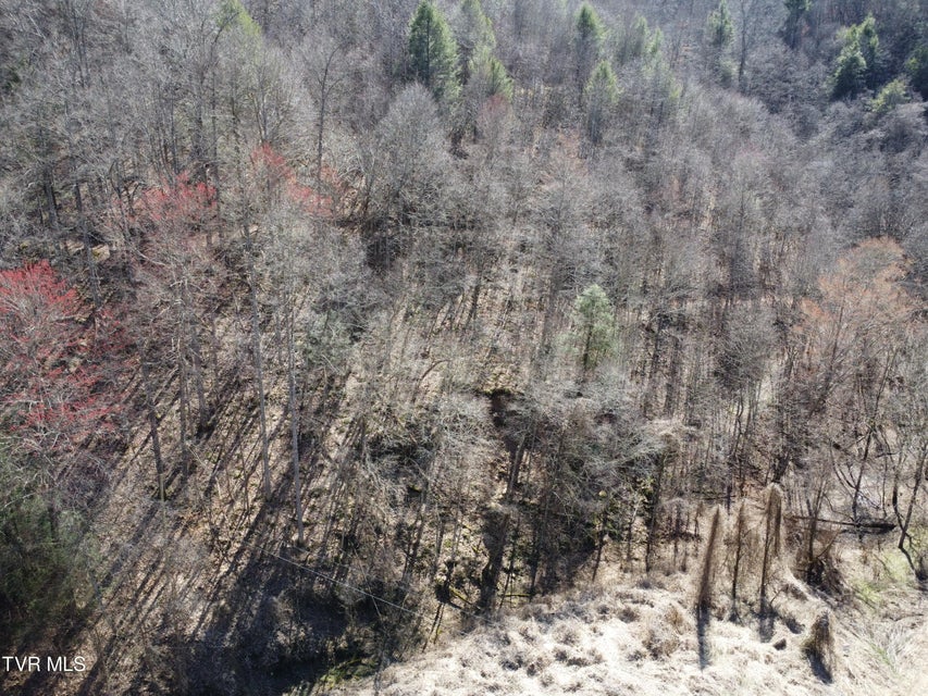 Photo #31: Tbd Bull Run Road