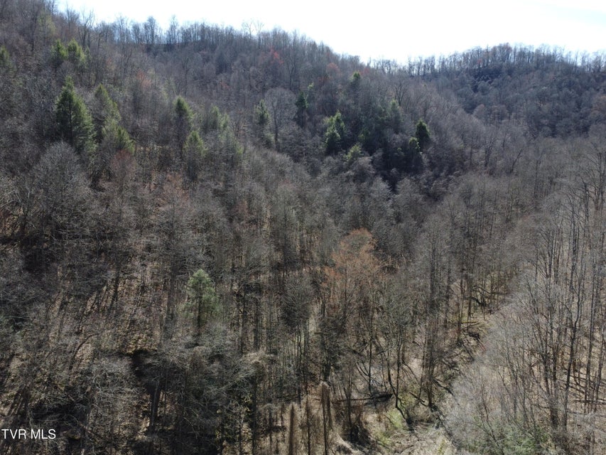 Photo #33: Tbd Bull Run Road