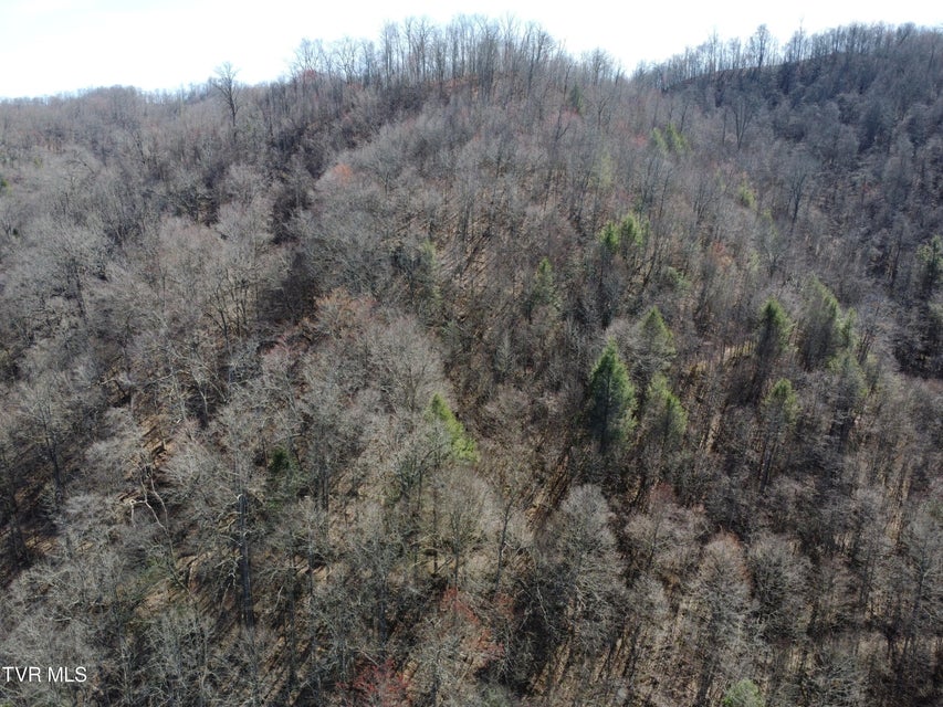 Photo #35: Tbd Bull Run Road