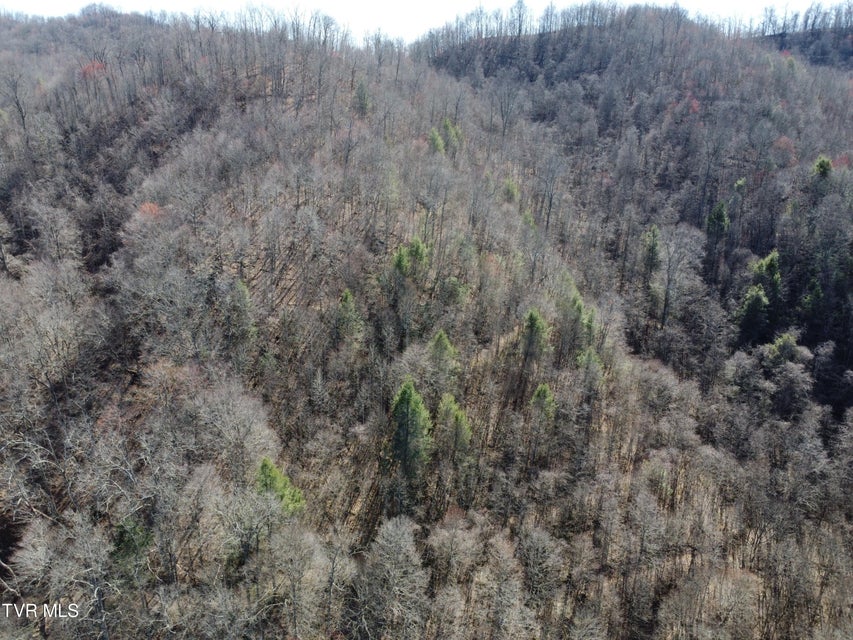 Photo #37: Tbd Bull Run Road