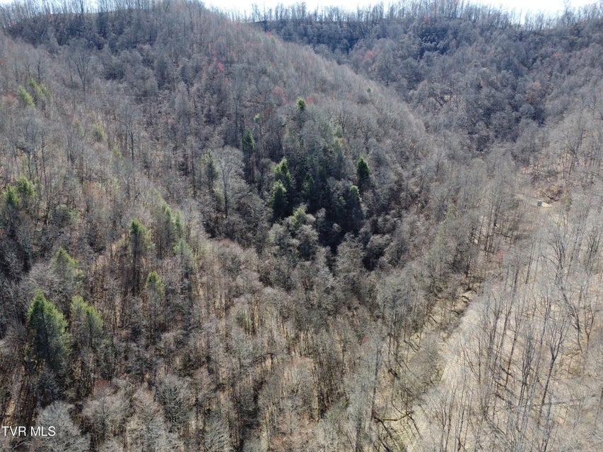 Photo #38: Tbd Bull Run Road