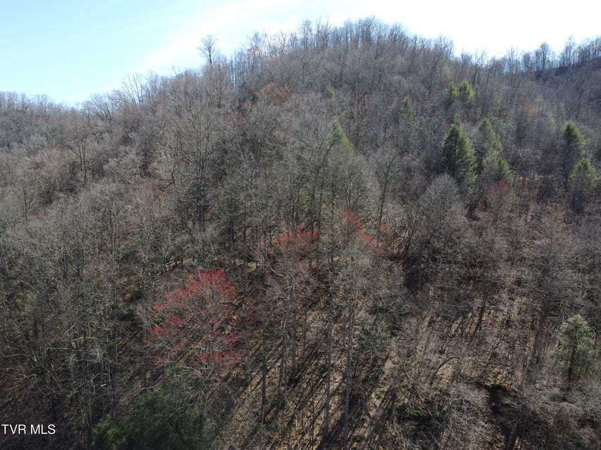 Photo #43: Tbd Bull Run Road