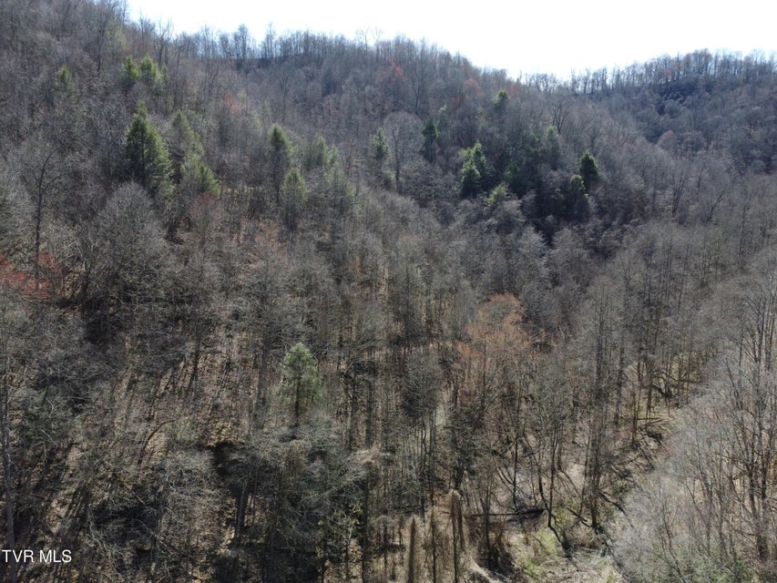 Photo #46: Tbd Bull Run Road