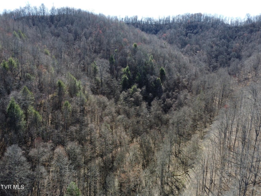 Photo #47: Tbd Bull Run Road