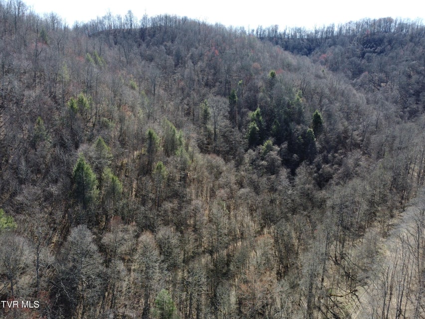 Photo #48: Tbd Bull Run Road