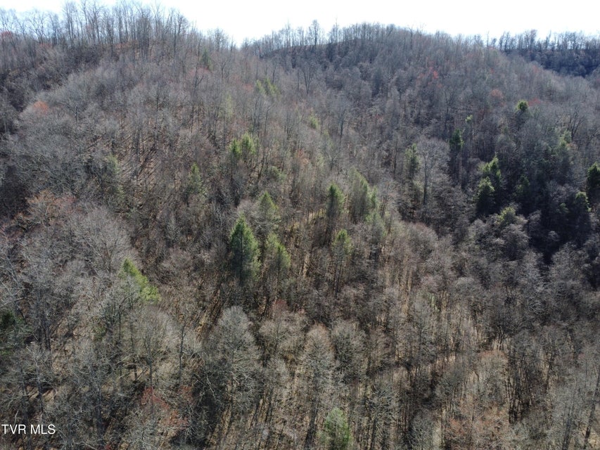 Photo #49: Tbd Bull Run Road