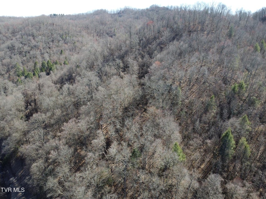 Photo #51: Tbd Bull Run Road