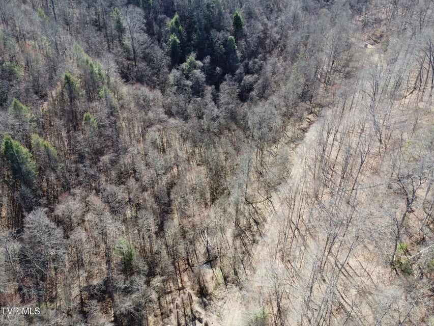 Photo #52: Tbd Bull Run Road