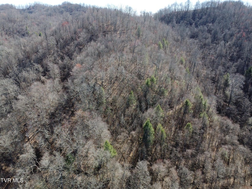 Photo #53: Tbd Bull Run Road